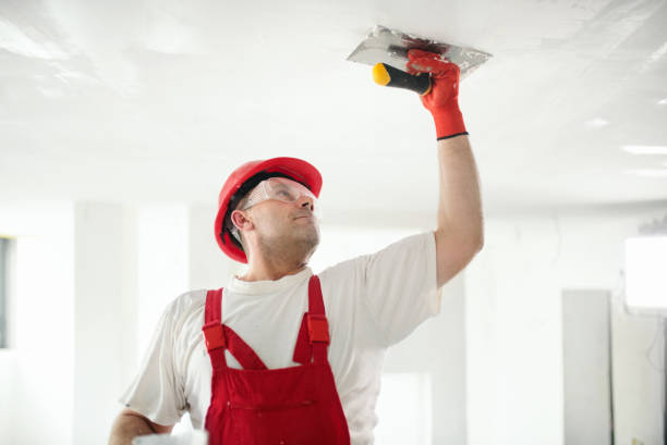 Best Commercial Painting  in Lake Ripley, WI